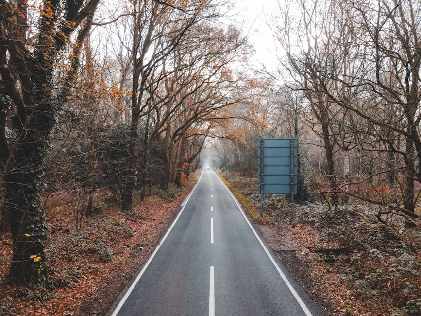A straight, narrow country road with a double white line running down the center, lined by leafless trees on both sides during autumn. The trees have a mix of bare branches and some remaining orange a